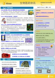 长煦信息技术咨询 专业信息技术咨询服务助力企业数字化转型