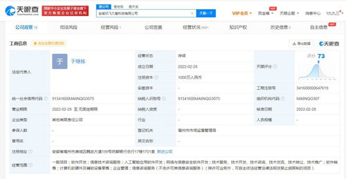 信息技术咨询服务 企业数字化转型的智慧引擎